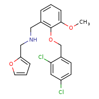 ({2-[(2,4-dichlorophenyl)methoxy]-3-methoxyphenyl}methyl)(furan-2-ylmethyl)amine