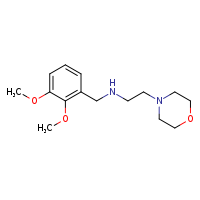 [(2,3-dimethoxyphenyl)methyl][2-(morpholin-4-yl)ethyl]amine