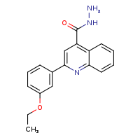 2-(3-ethoxyphenyl)quinoline-4-carbohydrazide
