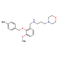 ({3-methoxy-2-[(4-methylphenyl)methoxy]phenyl}methyl)[3-(morpholin-4-yl)propyl]amine