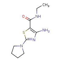 4-amino-N-ethyl-2-(pyrrolidin-1-yl)-1,3-thiazole-5-carboxamide