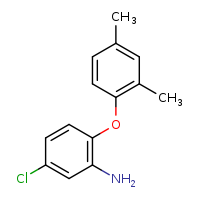 5-chloro-2-(2,4-dimethylphenoxy)aniline