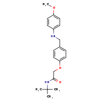 N-tert-butyl-2-(4-{[(4-methoxyphenyl)amino]methyl}phenoxy)acetamide