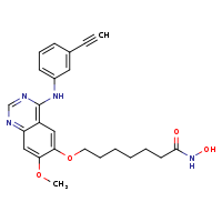 7-({4-[(3-ethynylphenyl)amino]-7-methoxyquinazolin-6-yl}oxy)-N-hydroxyheptanamide
