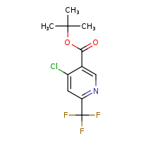 tert-butyl 4-chloro-6-(trifluoromethyl)pyridine-3-carboxylate