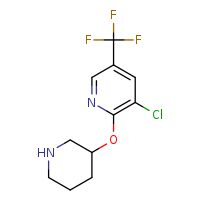 3-chloro-2-(piperidin-3-yloxy)-5-(trifluoromethyl)pyridine