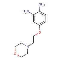 4-[2-(morpholin-4-yl)ethoxy]benzene-1,2-diamine