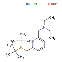 ({6-[(di-tert-butylphosphanyl)methyl]pyridin-2-yl}methyl)diethylamine; chloro(hydrido)ruthenium; oxomethylidene